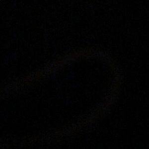 Meet your Posher, Charles